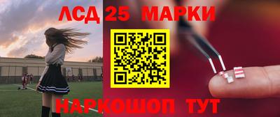 крисы Аргун