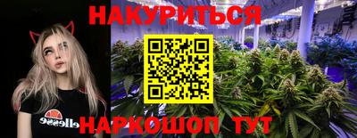 МДПВ Бийск