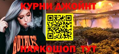МДПВ Бийск