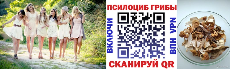 Галлюциногенные грибы GOLDEN TEACHER  сайты даркнета клад  Бугуруслан 