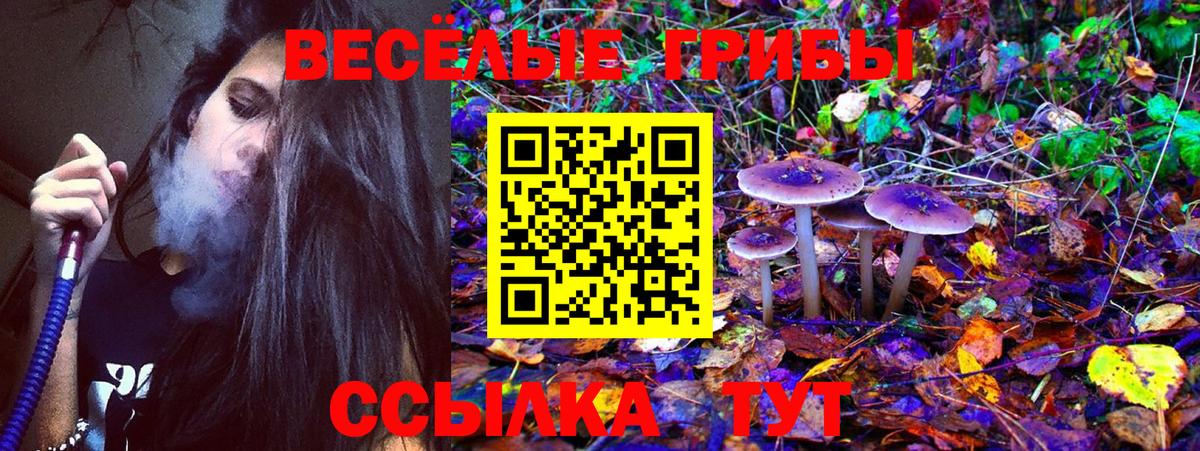 Бугуруслан  Галлюциногенные грибы Psilocybe  Вход с VPN 
